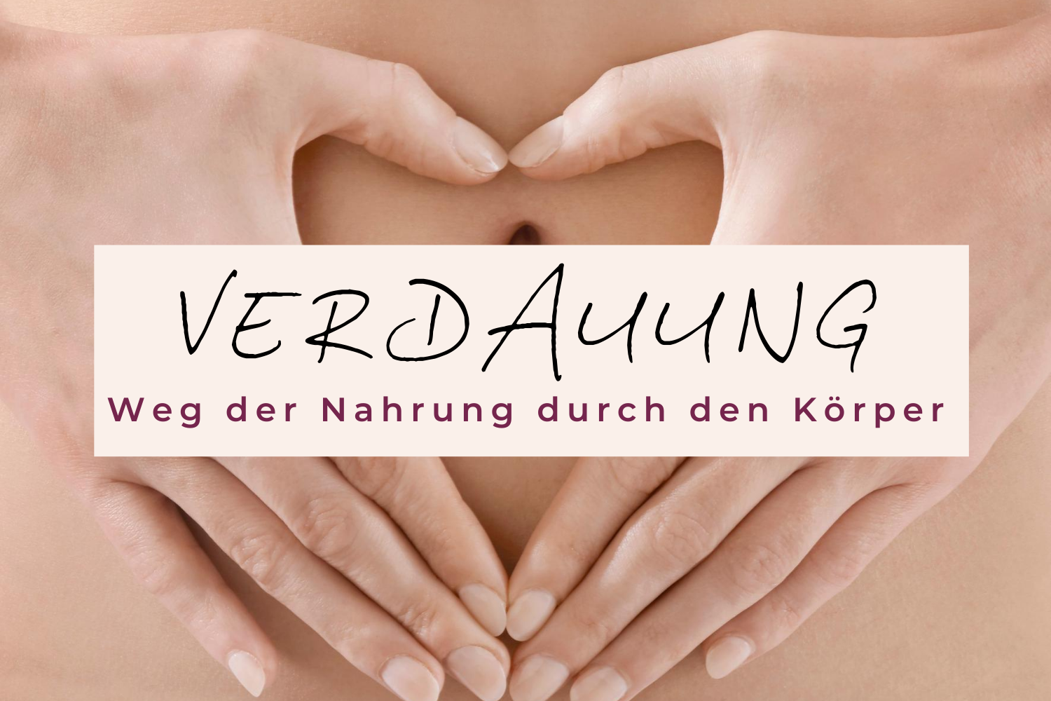 Lange zu um wie man verdauen braucht Wie lange